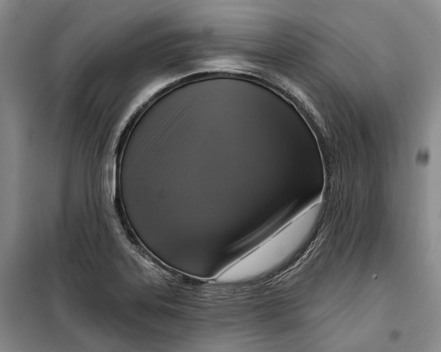 X0000099451323200805301504