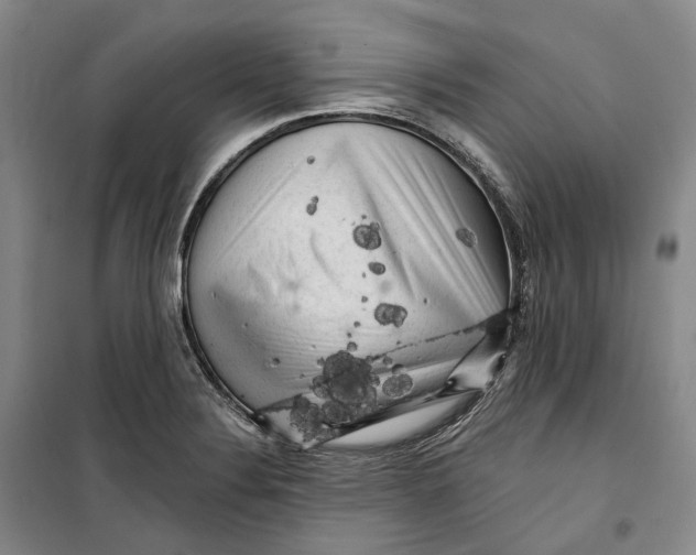 X0000099451324200805301504