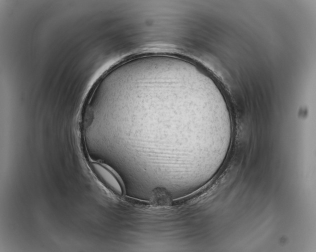 X0000099451325200805301504