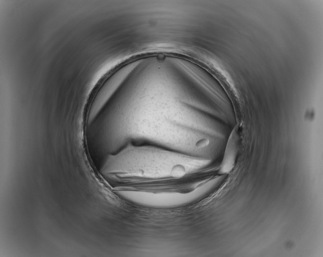 X0000099451328200805301504