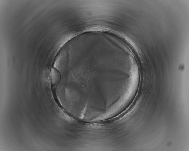 X0000099451329200805301504