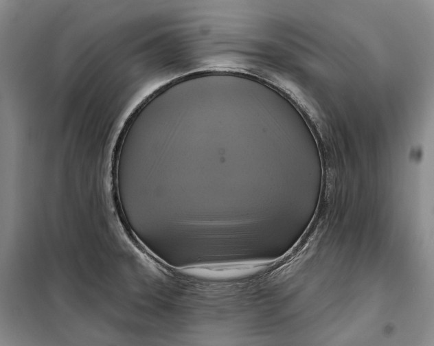 X0000099451331200805301504