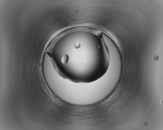 X0000099451332200805301504