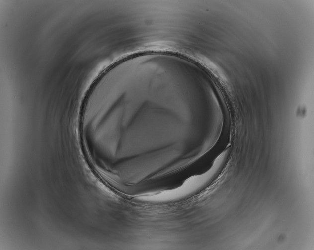 X0000099451334200805301504