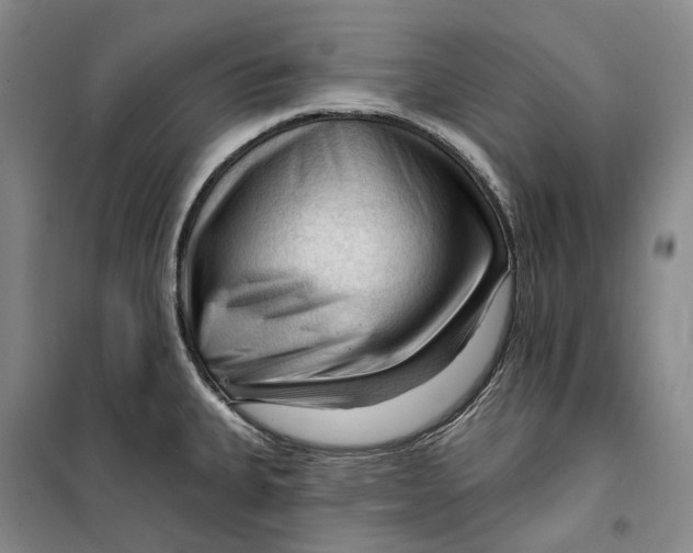 X0000099451335200805301504