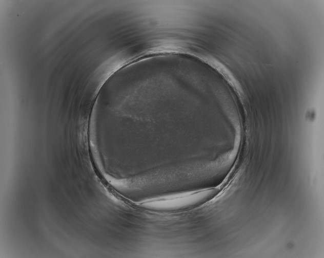 X0000099451337200805301504