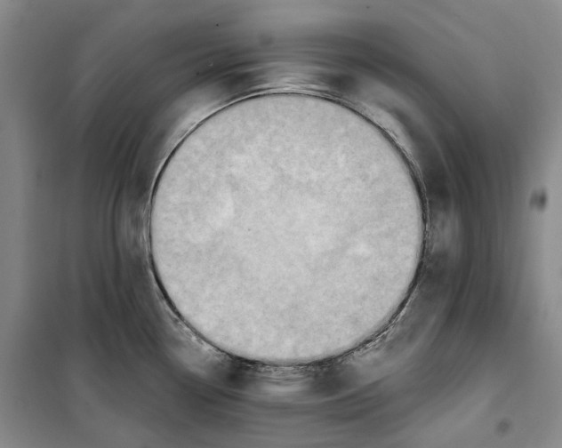 X0000099451338200805301504