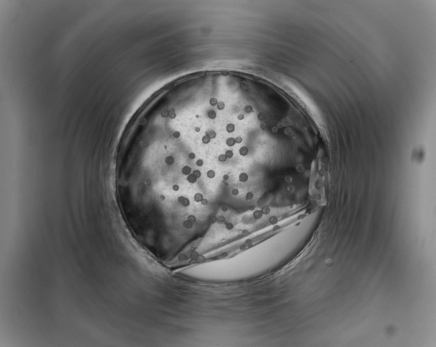 X0000099451340200805301504