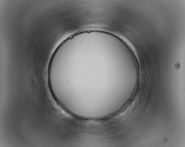 X0000099451341200805301504