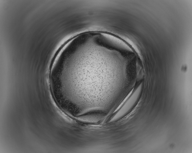 X0000099451342200805301504