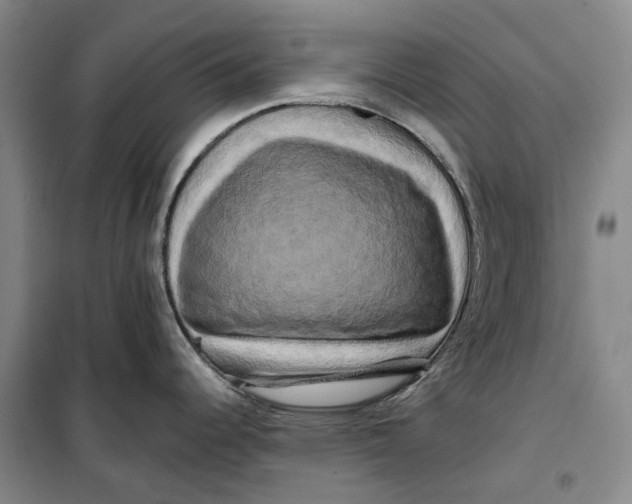 X0000099451344200805301504