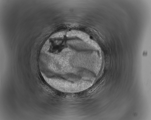 X0000099451345200805301503