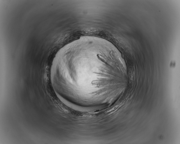 X0000099451346200805301503