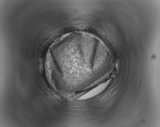 X0000099451347200805301503