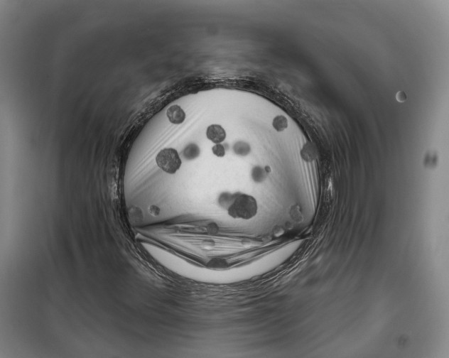 X0000099451348200805301503