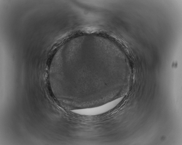 X0000099451349200805301503