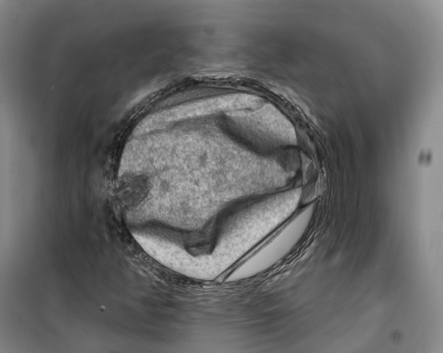 X0000099451350200805301503