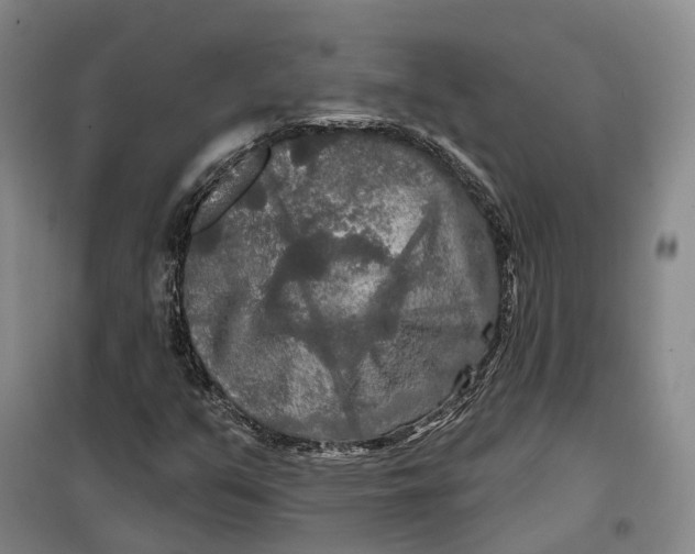 X0000099451351200805301503