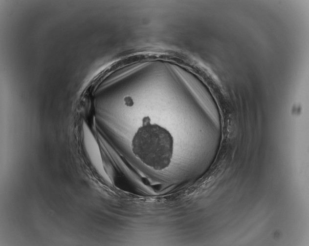 X0000099451352200805301503