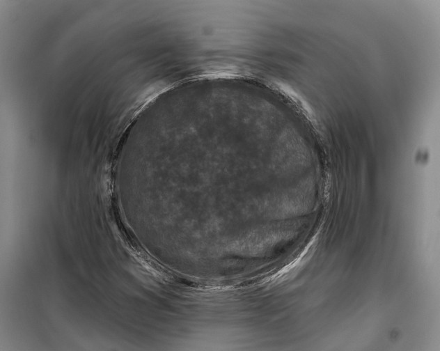 X0000099451353200805301503