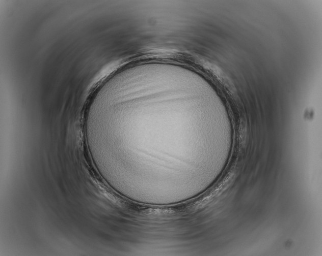 X0000099451354200805301503