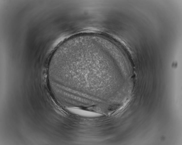 X0000099451355200805301503