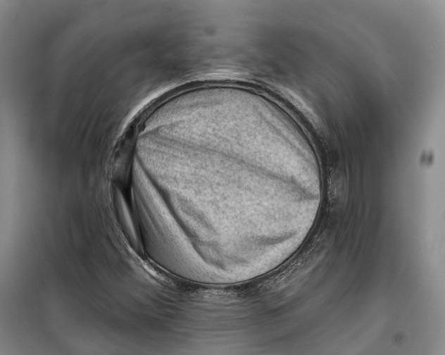 X0000099451356200805301503