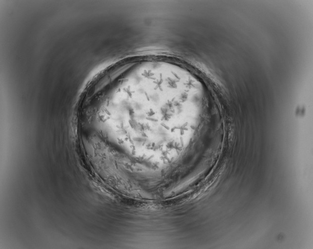 X0000099451358200805301503