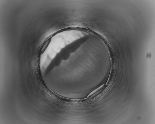 X0000099451359200805301503