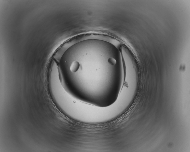 X0000099451360200805301503