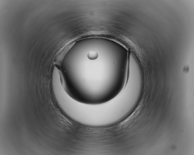 X0000099451361200805301503