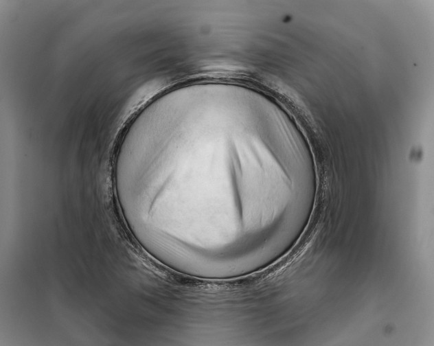 X0000099451362200805301503