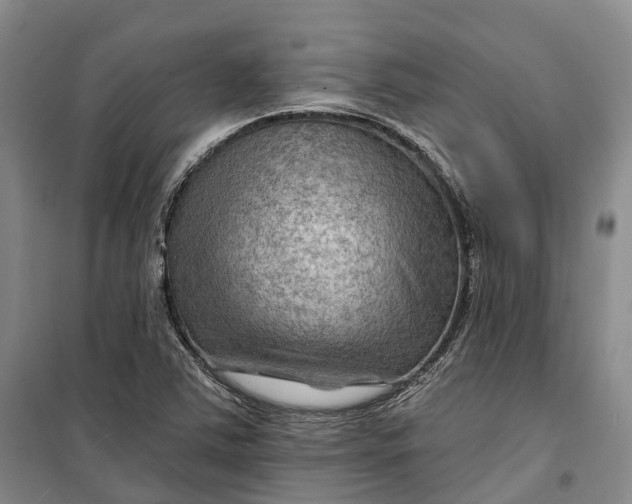 X0000099451363200805301503