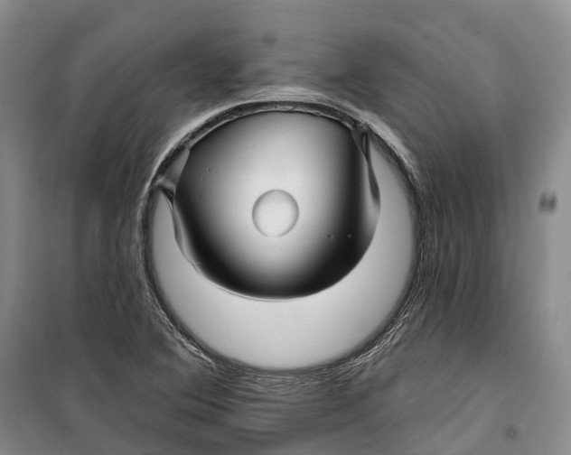 X0000099451364200805301503