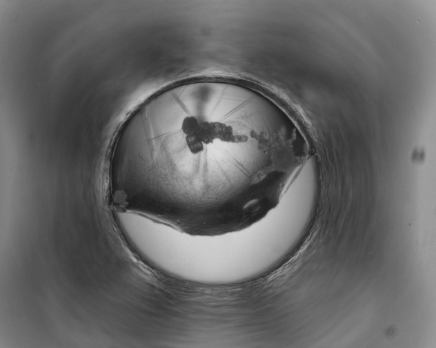 X0000099451367200805301503