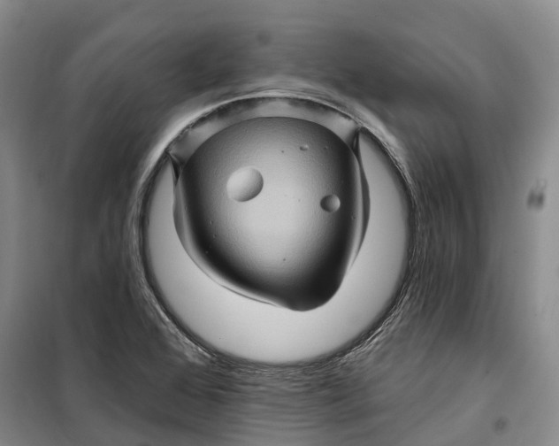 X0000099451368200805301503