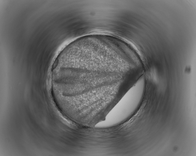 X0000099451371200805301503