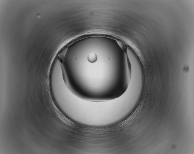 X0000099451372200805301503