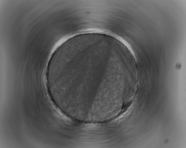 X0000099451373200805301503