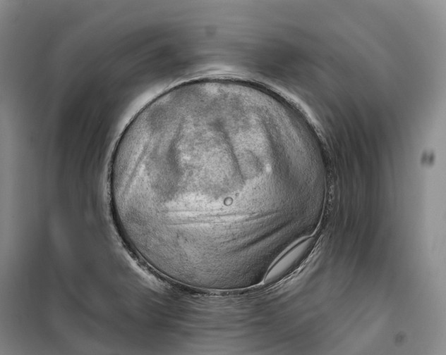 X0000099451375200805301503