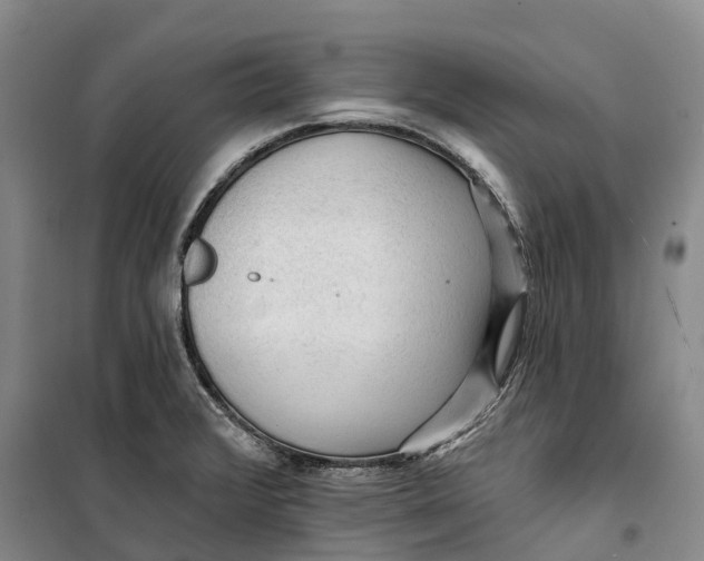 X0000099451376200805301503