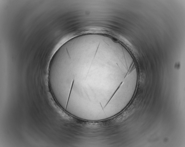 X0000099451378200805301503