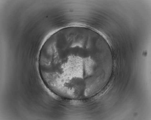 X0000099451379200805301503