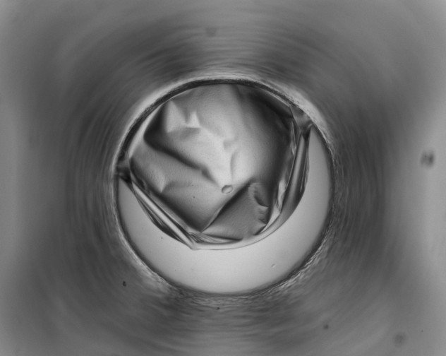 X0000099451380200805301503