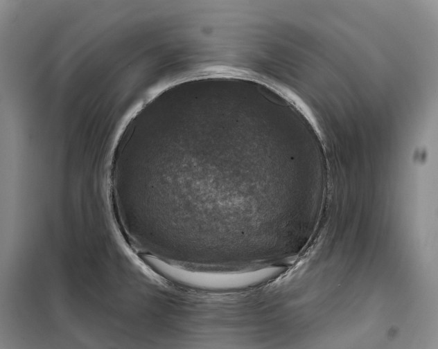 X0000099451381200805301503