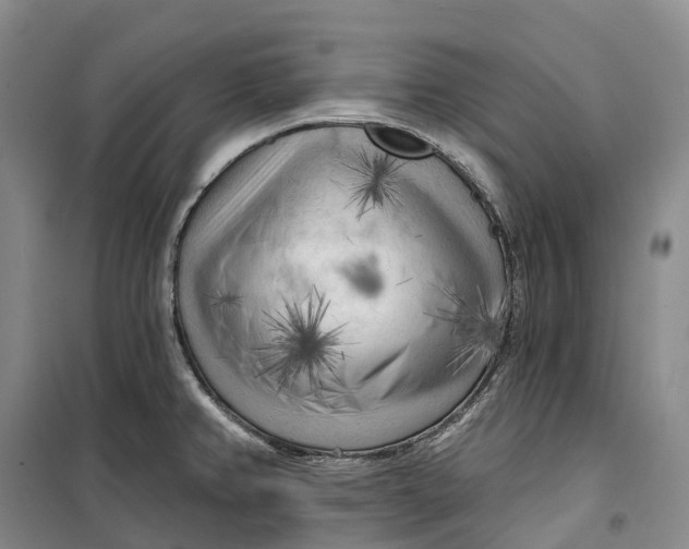 X0000099451382200805301503