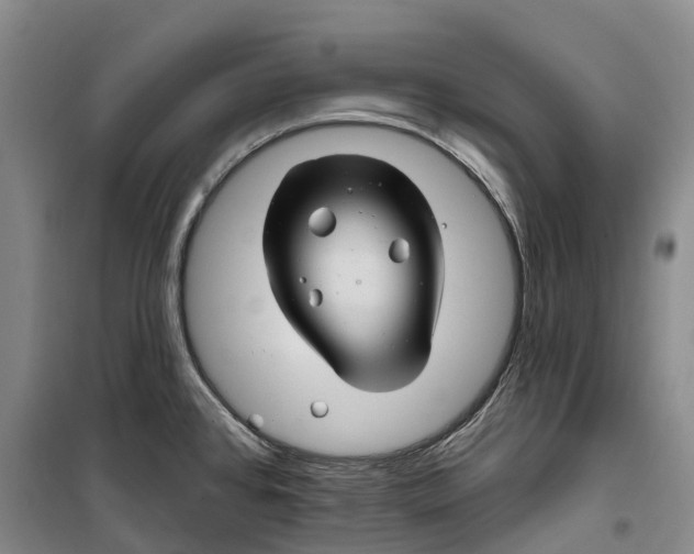 X0000099451384200805301503