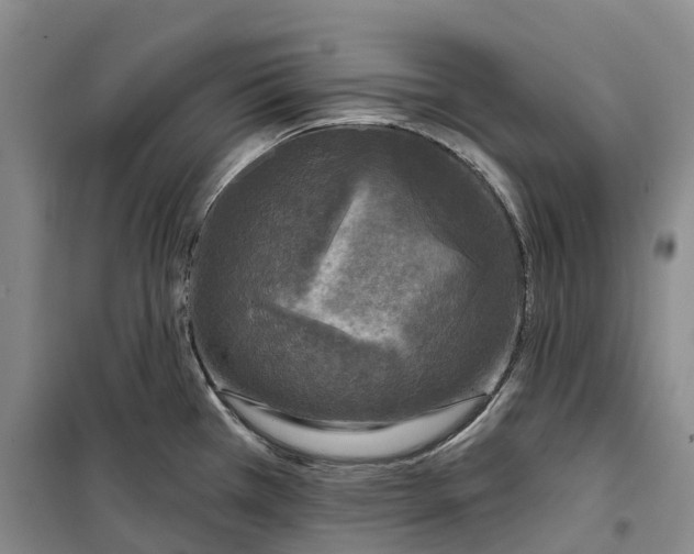 X0000099451385200805301503