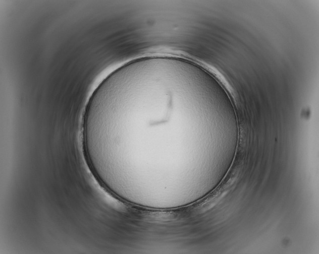 X0000099451387200805301503