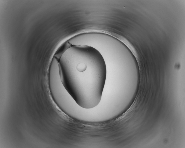 X0000099451388200805301503